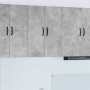 Armario de cocina mural 2 pcs Gris Concreto 30 x 31 x 80 cm