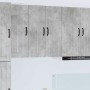 Armario de cocina mural Gris Concreto 60 x 31 x 80 cm