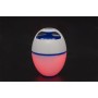 Bestway Floating speaker with LED and Bluetooth by Bestway, Speakers - Ref: Foro24-3202714, Price: 69,73 €, Discount: %