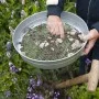 Nature Garden Siebmasche 12 mm Ø37 cm von Nature, Gartenarbeit - Ref: Foro24-446383, Preis: 29,49 €, Rabatt: %
