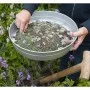 Nature Garden Siebmasche 12 mm Ø37 cm von Nature, Gartenarbeit - Ref: Foro24-446383, Preis: 29,49 €, Rabatt: %