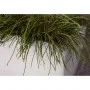 Capi Rectangular planter Arc Granite ivory 60x35x40 cm by Capi, Pots and planters - Ref: Foro24-442113, Price: 132,85 €, Disc...