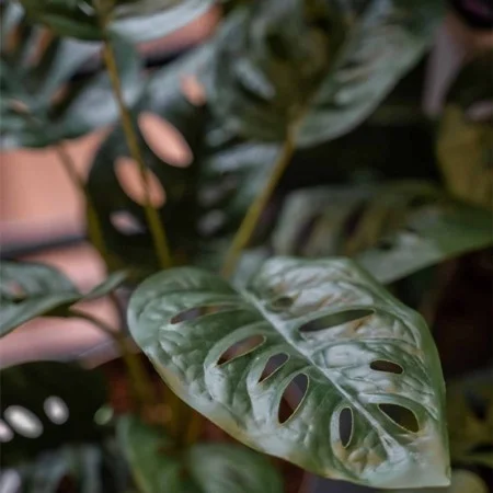 Emerald Artificial Monstera Monkey Bush in Pot 43 cm by Emerald, artificial flora - Ref: Foro24-444642, Price: 21,33 €, Disco...