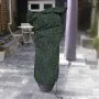 Capi Large plant cover black and green print 150x250 cm by Capi, Gardening accessories - Ref: Foro24-442130, Price: 45,33 €, ...