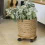 Nature Plant stand with wheels round BPC brown Ø30 cm by Nature, Pot stands - Ref: Foro24-446403, Price: 27,23 €, Discount: %