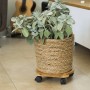 Nature Plant stand with wheels round BPC brown Ø30 cm by Nature, Pot stands - Ref: Foro24-446403, Price: 27,20 €, Discount: %