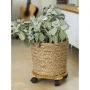 Nature Plant stand with wheels round BPC brown Ø30 cm by Nature, Pot stands - Ref: Foro24-446403, Price: 27,23 €, Discount: %