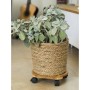 Nature Plant stand with wheels round BPC brown Ø30 cm by Nature, Pot stands - Ref: Foro24-446403, Price: 27,20 €, Discount: %