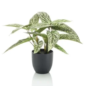 Künstliche Emerald Calathea-Punkte im Topf 38 cm von Emerald, Künstliche Flora - Ref: Foro24-444639, Preis: 37,66 €, Rabatt: %