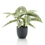 Artificial Emerald Calathea Dots in pot 38 cm by Emerald, artificial flora - Ref: Foro24-444639, Price: 37,66 €, Discount: %