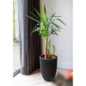 Capi Elegant Groove Vase schwarz 46x58 cm von Capi, Töpfe und Pflanzgefäße - Ref: Foro24-445497, Preis: 153,48 €, Rabatt: %