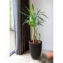 Capi Jarrón elegante Groove negro 46x58 cm de Capi, Maceteros y jardineras - Ref: Foro24-445497, Precio: 153,48 €, Descuento: %