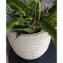 Capi Waste Rib Pflanzgefäß Beige Terrazzo 35x34 cm von Capi, Töpfe und Pflanzgefäße - Ref: Foro24-445480, Preis: 63,39 €, Rab...