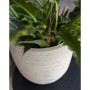 Capi Waste Rib Pflanzgefäß Beige Terrazzo 43x41 cm von Capi, Töpfe und Pflanzgefäße - Ref: Foro24-445481, Preis: 87,13 €, Rab...