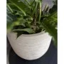 Capi Waste Rib Planter Beige Terrazzo 43x41 cm by Capi, Pots and planters - Ref: Foro24-445481, Price: 87,13 €, Discount: %