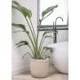 Capi Macetero Waste Rib beige terrazo 43x41 cm de Capi, Maceteros y jardineras - Ref: Foro24-445481, Precio: 87,30 €, Descuen...