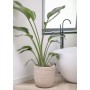 Capi Waste Rib Pflanzgefäß Beige Terrazzo 43x41 cm von Capi, Töpfe und Pflanzgefäße - Ref: Foro24-445481, Preis: 87,13 €, Rab...