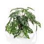 Emerald Arbusto artificial de Monstera Monkey en maceta 55 cm