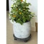Nature Round gray wood plant stand with wheels Ø30 cm by Nature, Pot stands - Ref: Foro24-446401, Price: 26,64 €, Discount: %