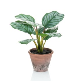 Emerald Calathea Orbifolia artificial Terra en maceta 32 cm