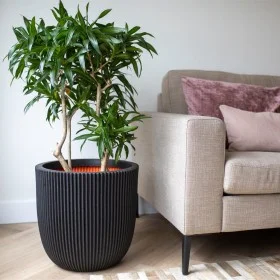 Capi Groove Blumentopf schwarz 35x34 cm von Capi, Töpfe und Pflanzgefäße - Ref: Foro24-445488, Preis: 63,84 €, Rabatt: %