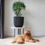 Capi Maceta Groove negro 35x34 cm de Capi, Maceteros y jardineras - Ref: Foro24-445488, Precio: 63,69 €, Descuento: %