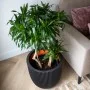 Capi Groove Flower Pot black 35x34 cm by Capi, Pots and planters - Ref: Foro24-445488, Price: 63,69 €, Discount: %