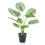 Künstlicher Emerald Calathea Orbifolia im Topf 45 cm von Emerald, Künstliche Flora - Ref: Foro24-444643, Preis: 21,10 €, Raba...