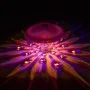 HI Underwater LED diamond-shaped lamp 10.5x8.5 cm by HI, Pool and spa accessories - Ref: Foro24-446183, Price: 13,50 €, Disco...