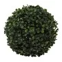 HI Bola de boj con LED diámetro 25 cm de HI, Flora artificial - Ref: Foro24-446180, Precio: 33,44 €, Descuento: %