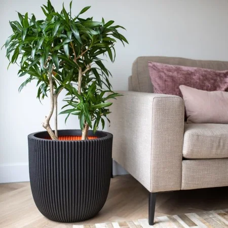Capi Maceta Groove negro 43x41 cm de Capi, Maceteros y jardineras - Ref: Foro24-445489, Precio: 96,42 €, Descuento: %