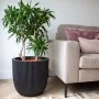 Capi Maceta Groove negro 43x41 cm de Capi, Maceteros y jardineras - Ref: Foro24-445489, Precio: 96,42 €, Descuento: %