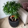 Capi Groove Flower Pot black 43x41 cm by Capi, Pots and planters - Ref: Foro24-445489, Price: 96,42 €, Discount: %