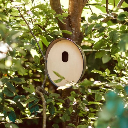 Capi Casita para pájaros Oval 2 gris antracita 24x19x23 cm