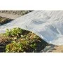 Nature Transparente Pflanzenabdeckung 4x6 m 200µ von Nature, Gartenzubehör - Ref: Foro24-446381, Preis: 54,69 €, Rabatt: %