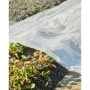Nature Transparente Pflanzenabdeckung 4x6 m 200µ von Nature, Gartenzubehör - Ref: Foro24-446381, Preis: 54,69 €, Rabatt: %