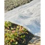 Nature Transparente Pflanzenabdeckung 4x6 m 200µ von Nature, Gartenzubehör - Ref: Foro24-446381, Preis: 54,67 €, Rabatt: %
