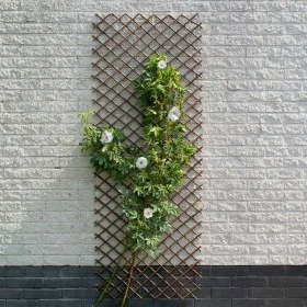 Naturgartenspalier Nature braun 60x180 cm von Nature, Pergolen, Bögen und Gartenspaliere - Ref: Foro24-446398, Preis: 28,00 €...