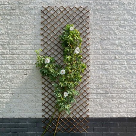 Naturgartenspalier Nature braun 60x180 cm von Nature, Pergolen, Bögen und Gartenspaliere - Ref: Foro24-446398, Preis: 28,00 €...