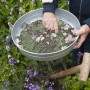 Nature Garden sieve mesh 6 mm Ø37 cm by Nature, Gardening - Ref: Foro24-446382, Price: 29,60 €, Discount: %