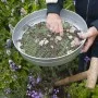 Nature Gartensieb Maschenweite 6 mm Ø37 cm von Nature, Gartenarbeit - Ref: Foro24-446382, Preis: 30,30 €, Rabatt: %