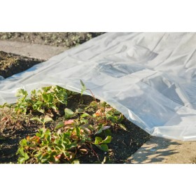 Nature Cobertor para plantas transparente 3x4 m 200µ