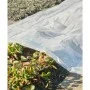 Nature Transparente Pflanzendecke 3x4 m 200µ von Nature, Gartenzubehör - Ref: Foro24-446380, Preis: 29,57 €, Rabatt: %