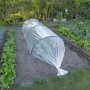 Nature Transparente Pflanzendecke 3x4 m 200µ von Nature, Gartenzubehör - Ref: Foro24-446380, Preis: 29,57 €, Rabatt: %