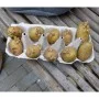Nature Bag for growing potatoes anthracite gray 37 L by Nature, Gardening - Ref: Foro24-446409, Price: 18,85 €, Discount: %