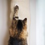 Quapas! Sisal-Klettersack für Katzen 180 cm von Quapas!, Katzenmöbel - Ref: Foro24-446809, Preis: 69,93 €, Rabatt: %