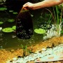 Ubbink Turba para estanque de jardín Aquavital 10 L