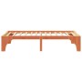 Estructura de cama Marrón 100 x 200 cm Madera maciza de pino