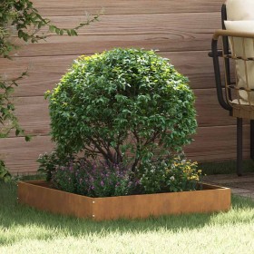 Borde de Césped Oxidado 60 x 60 x 13 cm Acero autopatinable