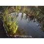 Ubbink Black garden edging 14 cm x 15 m 7mm by Ubbink, Garden edging and edging - Ref: Foro24-442621, Price: 102,92 €, Discou...